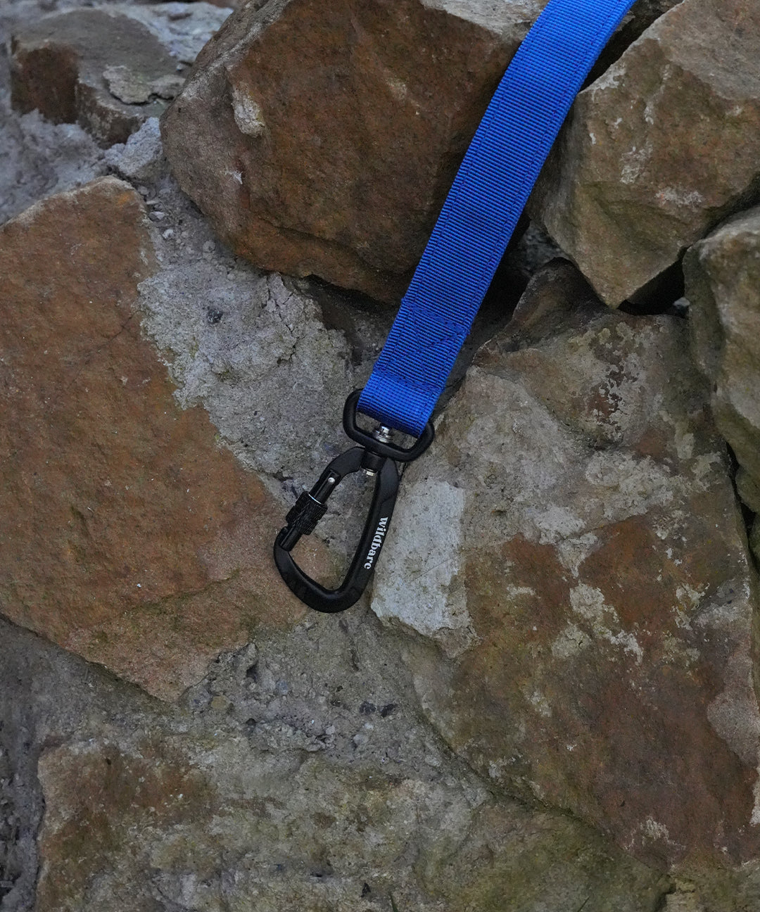 blue-one.jpg