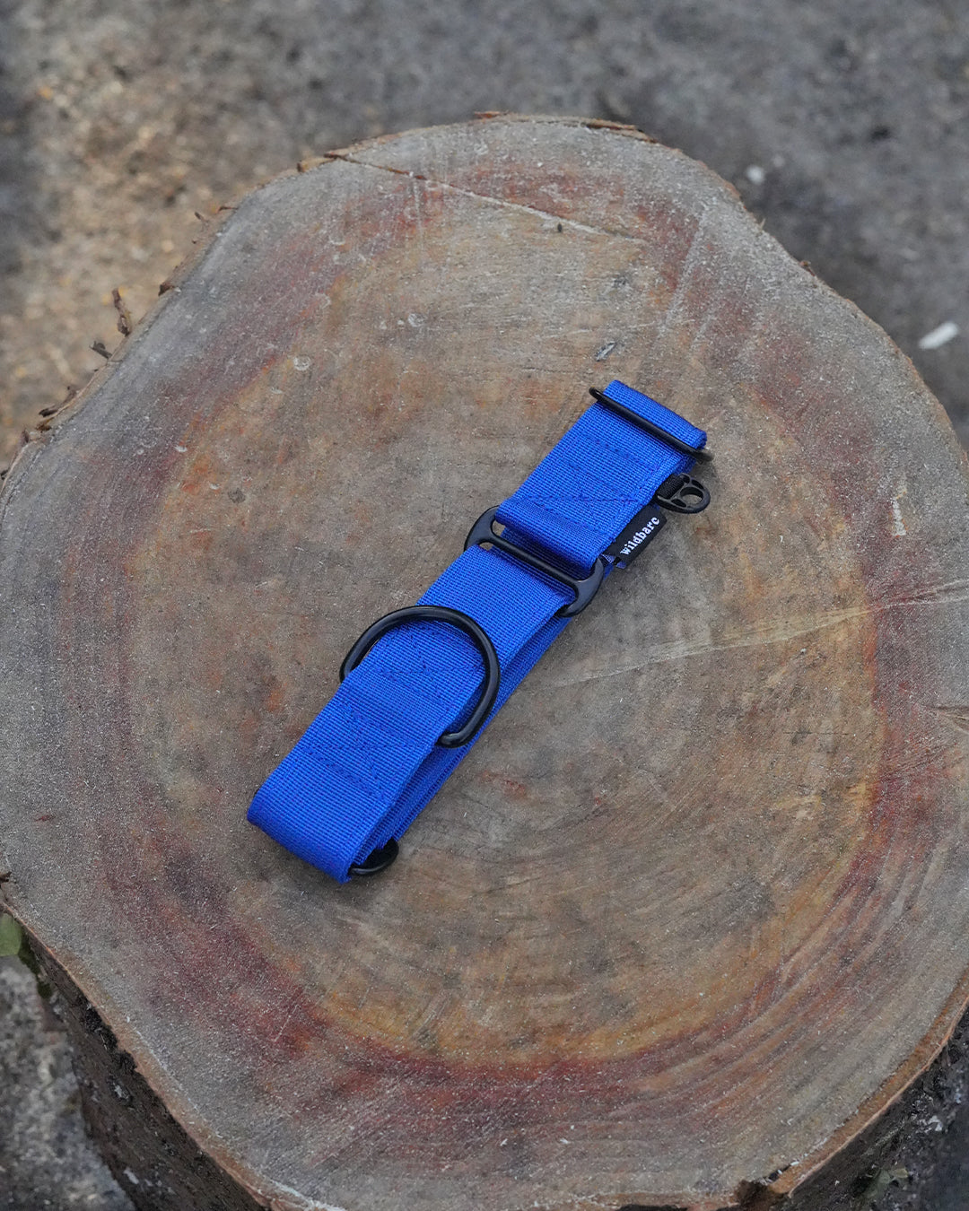 Blue Waterproof Martingale Dog Collar