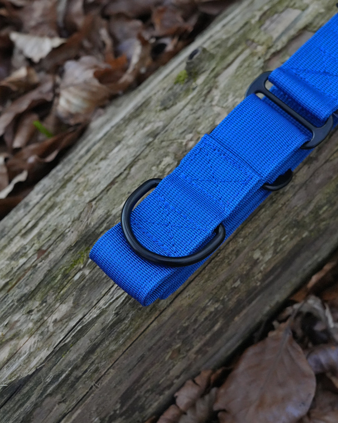 Blue Waterproof Martingale Dog Collar