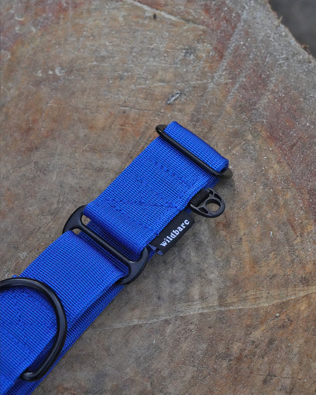 Blue Waterproof Martingale Dog Collar