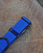 Blue Waterproof Martingale Dog Collar