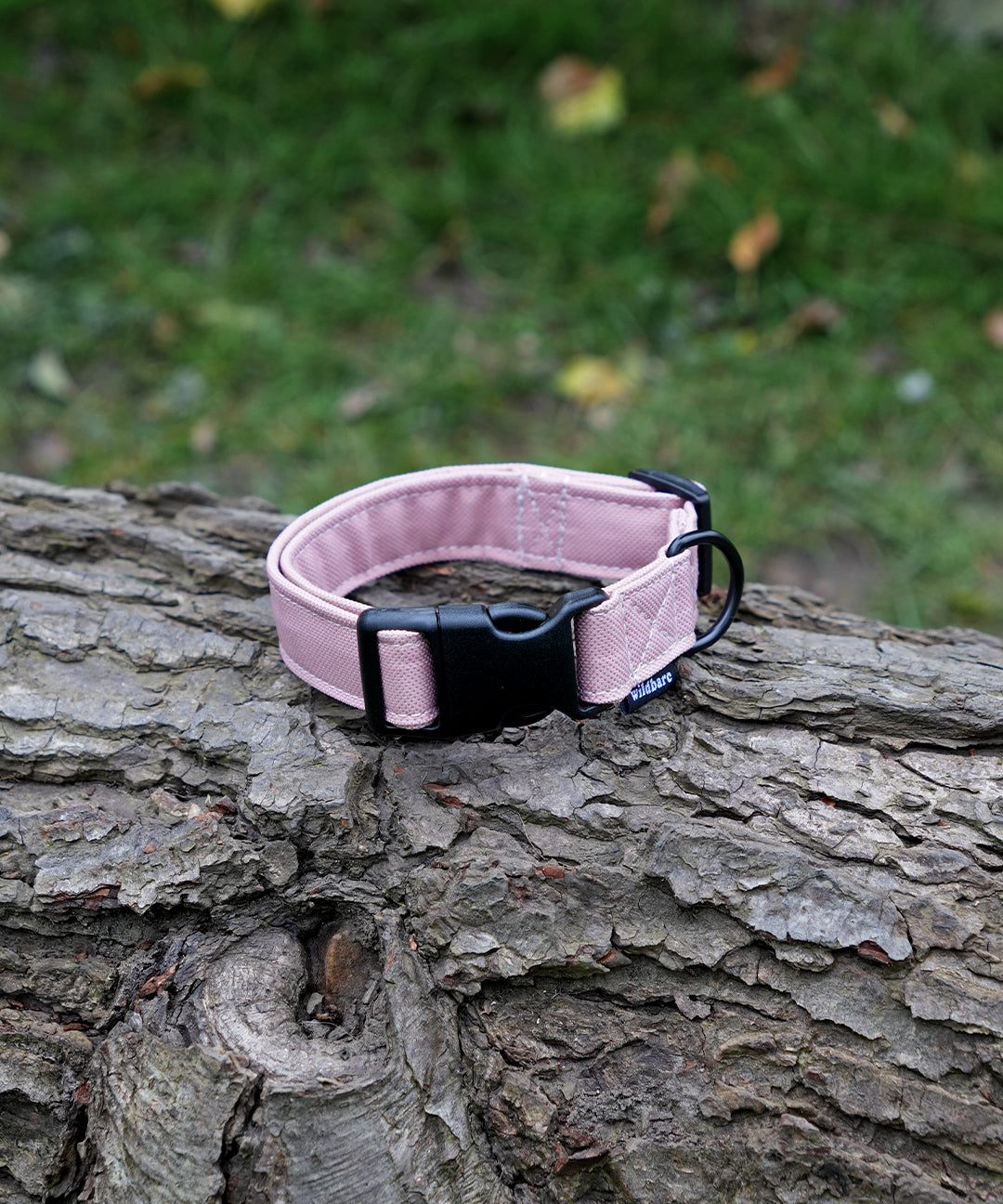 blush-dog-collar.jpg