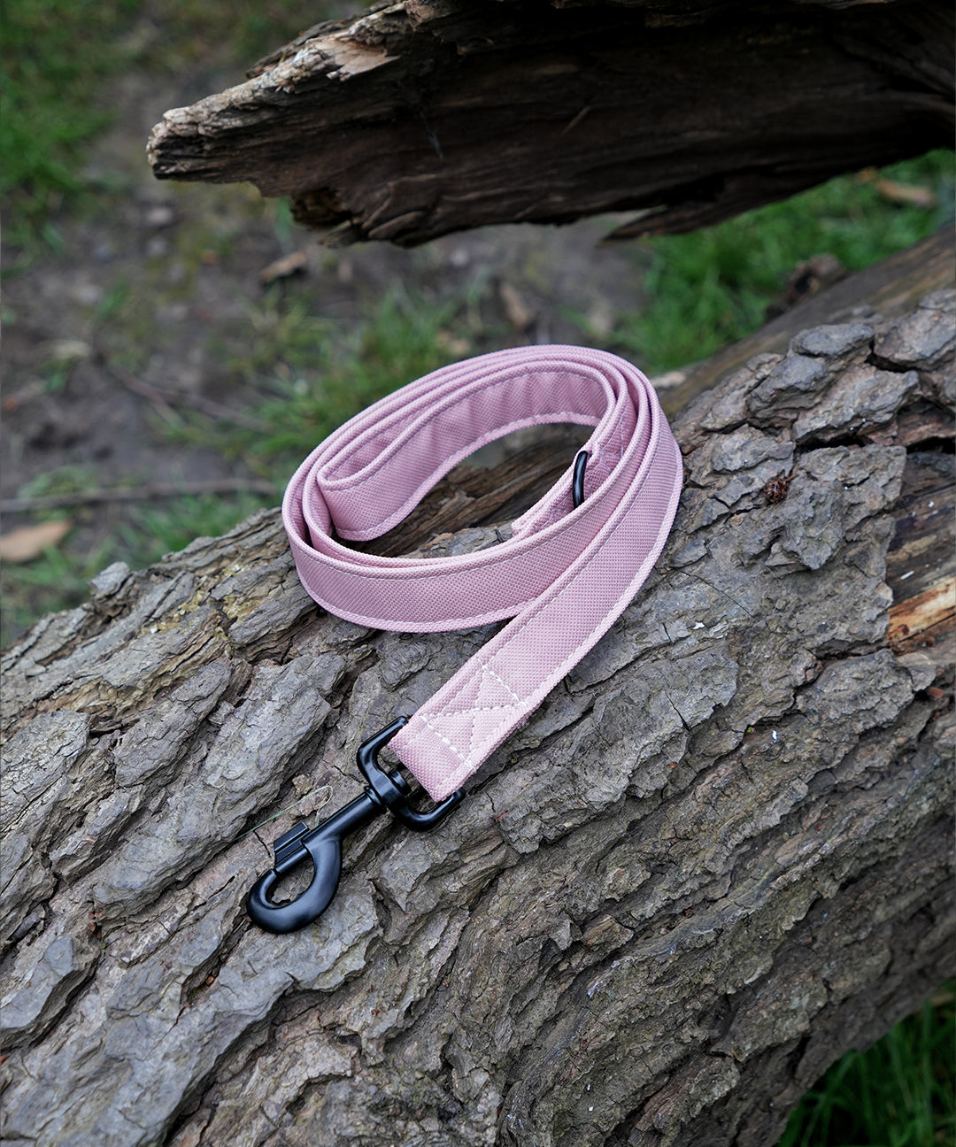 blush-dog-lead.jpg