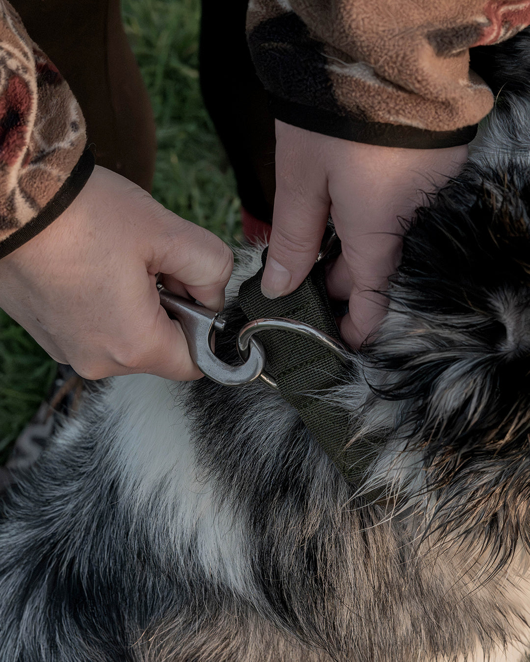 Hiraeth Earth Martingale Dog Collar