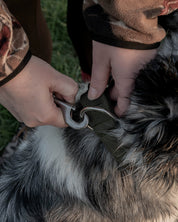 Hiraeth Earth Martingale Dog Collar