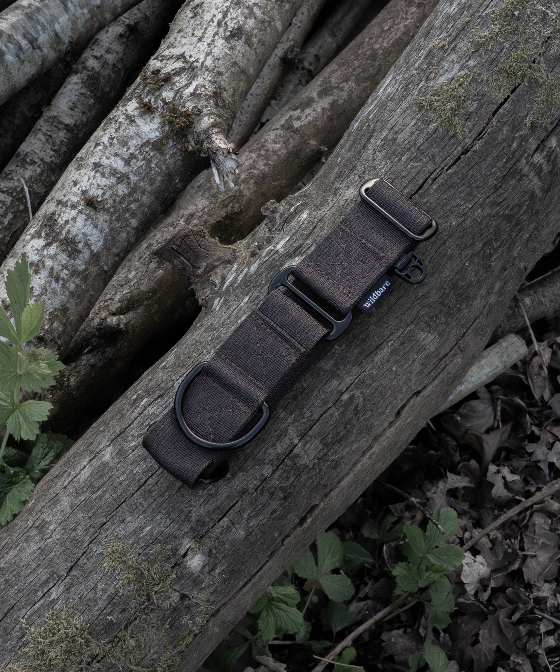 brown-martingale-dog-collar-1.jpg