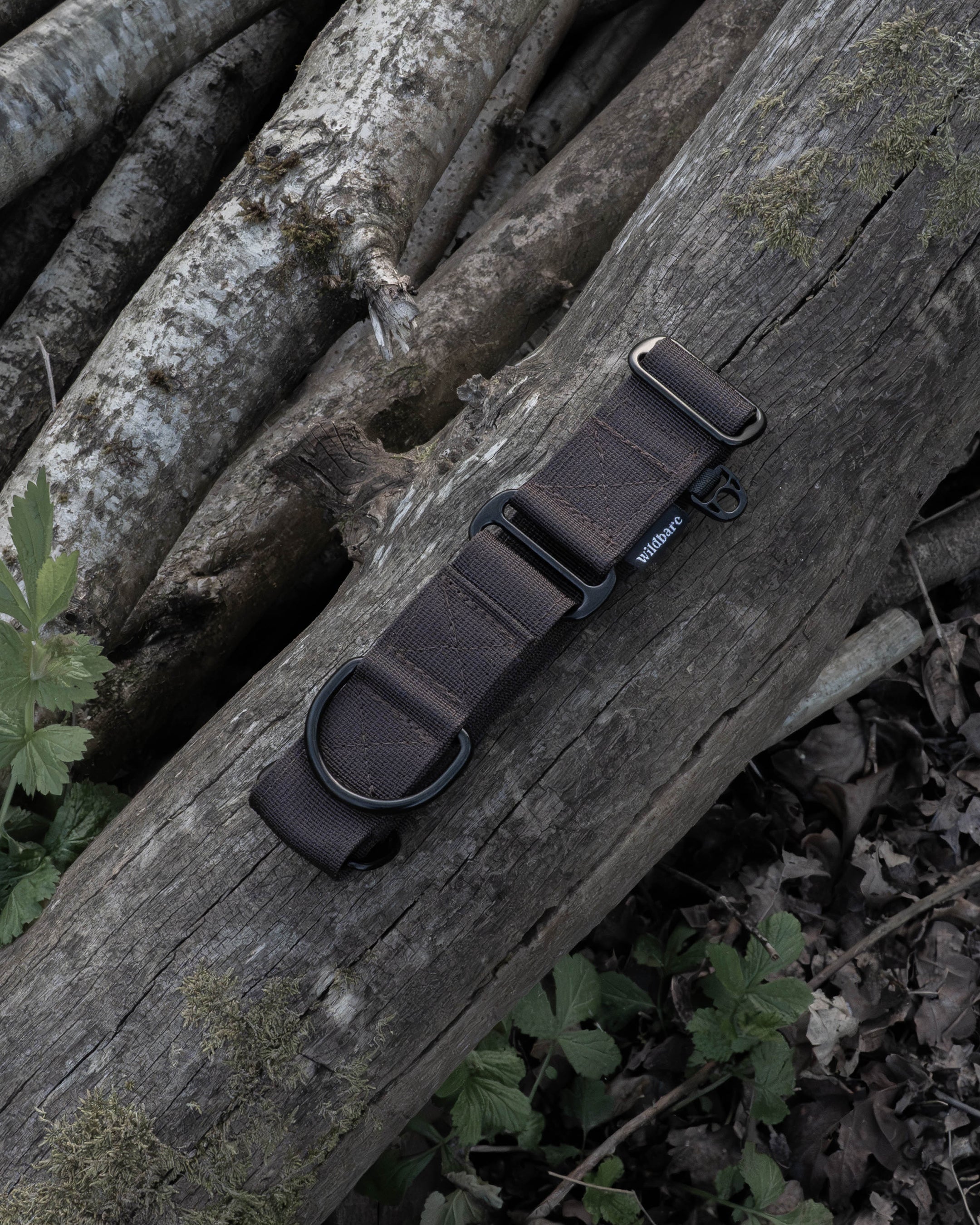 Dark Brown Waterproof Martingale Dog Collar