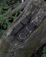 Dark Brown Waterproof Martingale Dog Collar