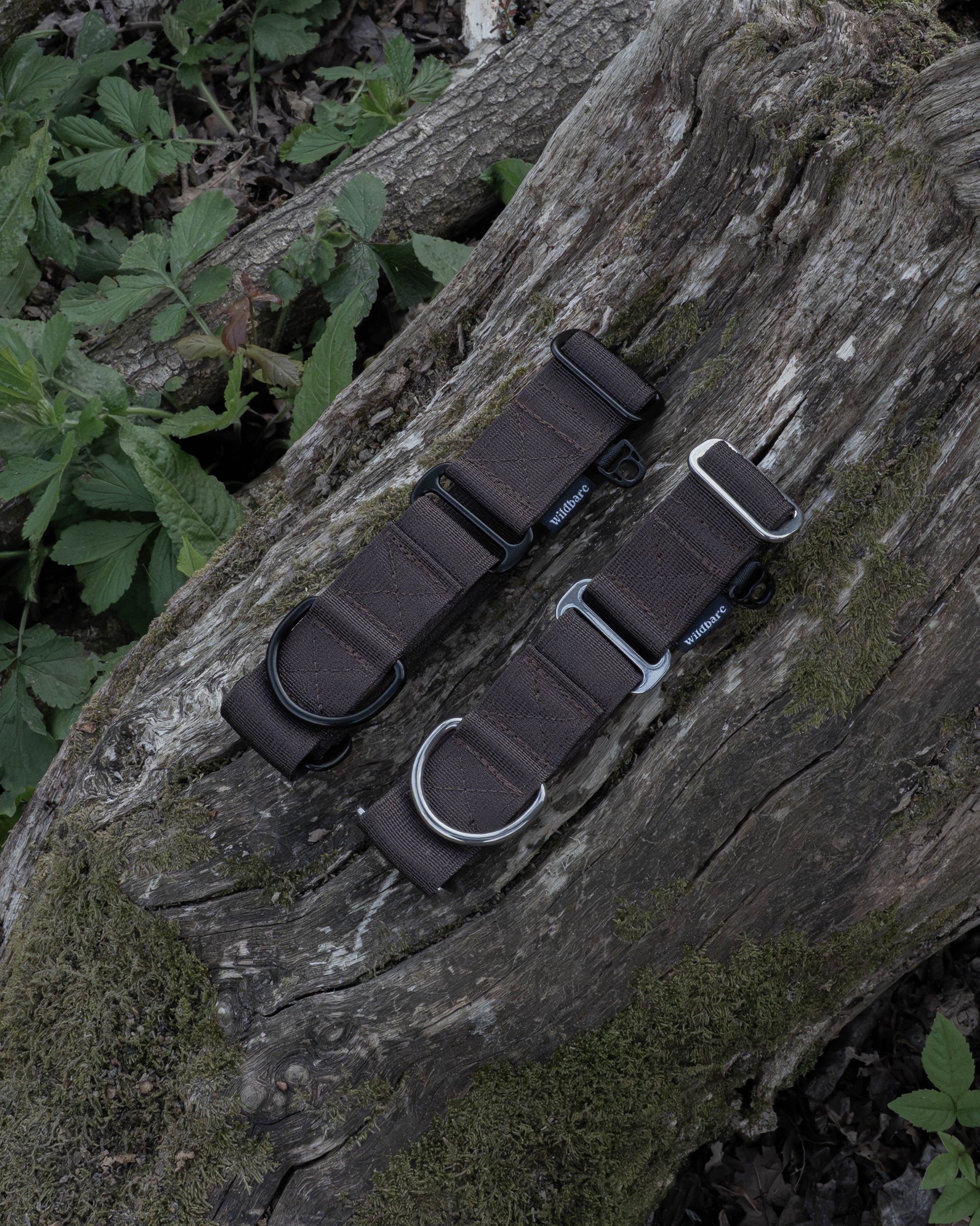 Dark Brown Waterproof Martingale Dog Collar