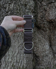 Dark Brown Waterproof Martingale Dog Collar