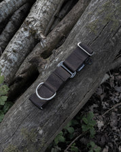 Dark Brown Waterproof Martingale Dog Collar