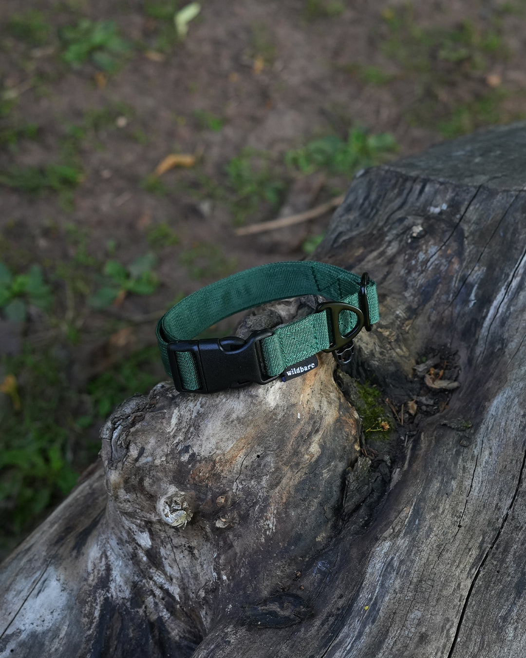 Forest Green Waterproof Dog Collar