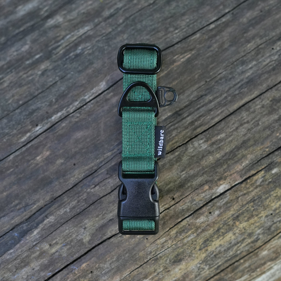 buckle-collar-two.jpg