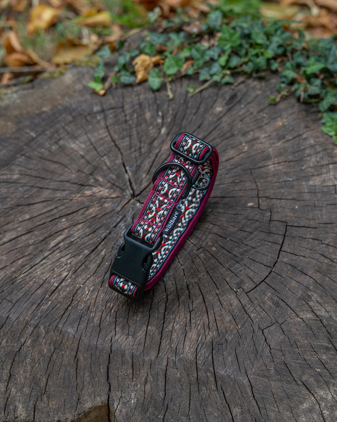 Goat Fell Dog Buckle Collar