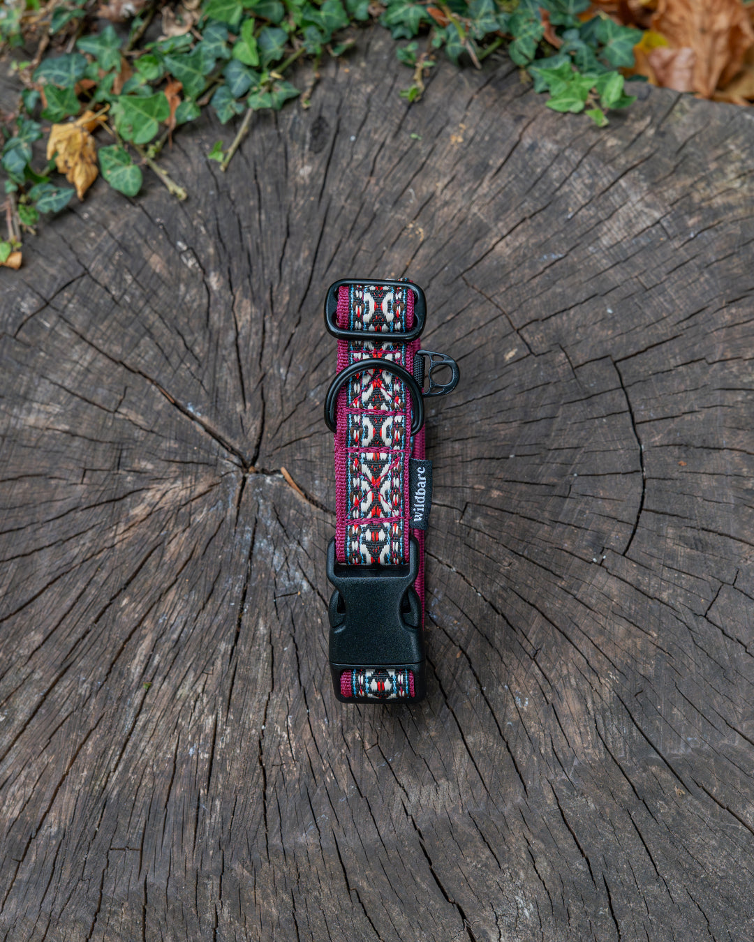 Goat Fell Dog Buckle Collar