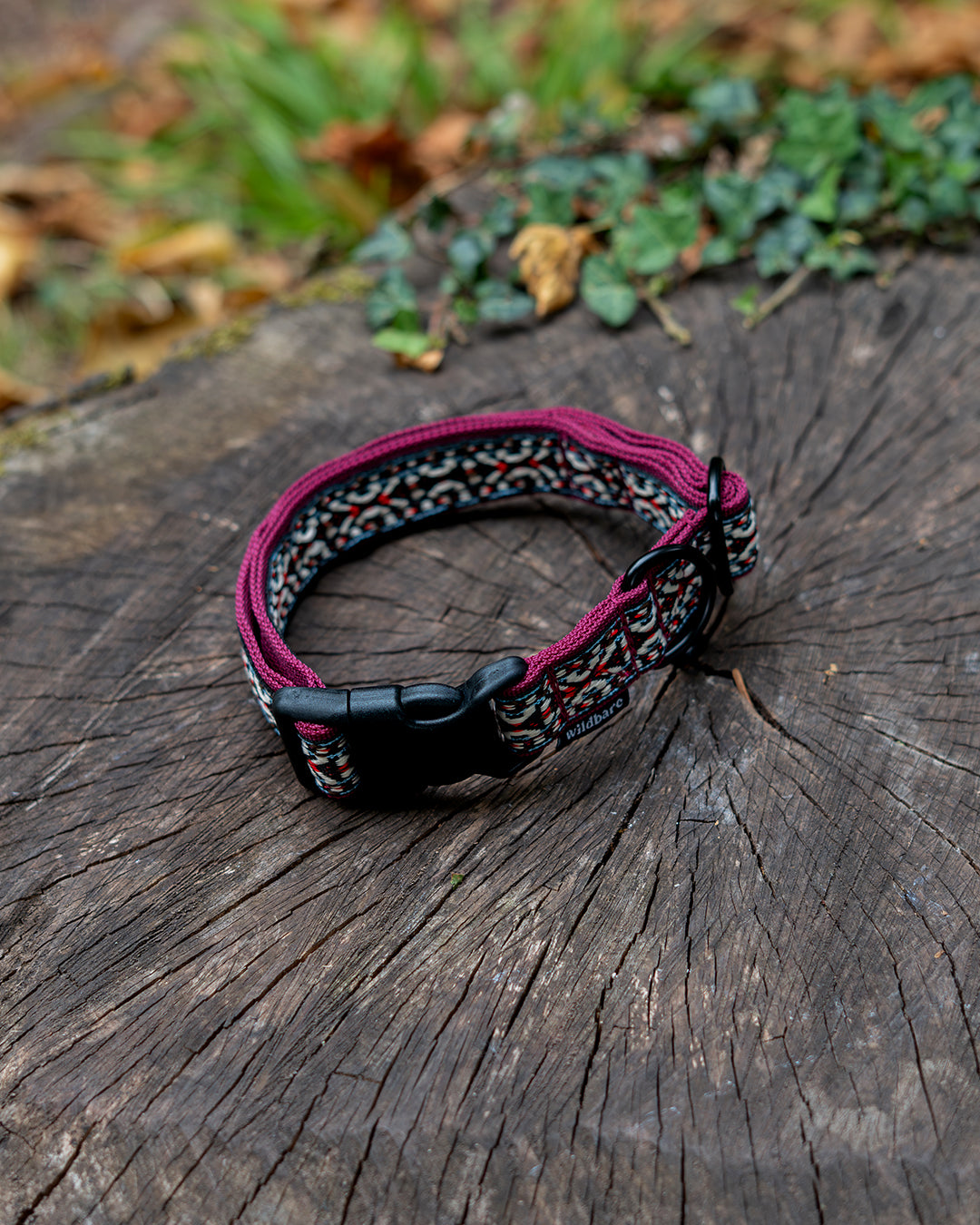 Goat Fell Dog Buckle Collar