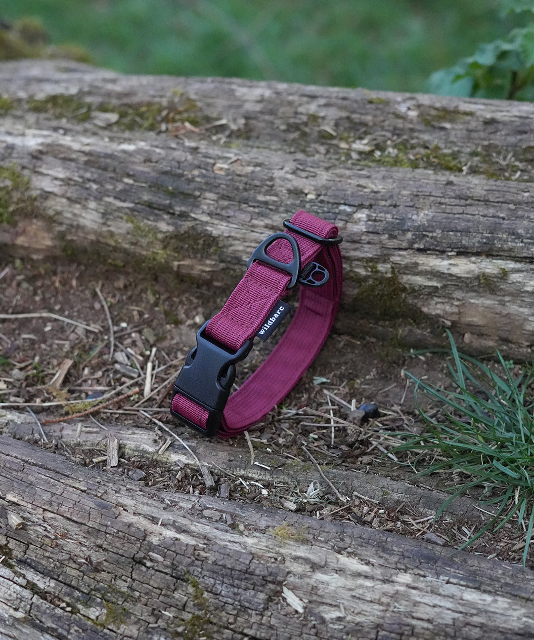 burgundy-collar-five.jpg