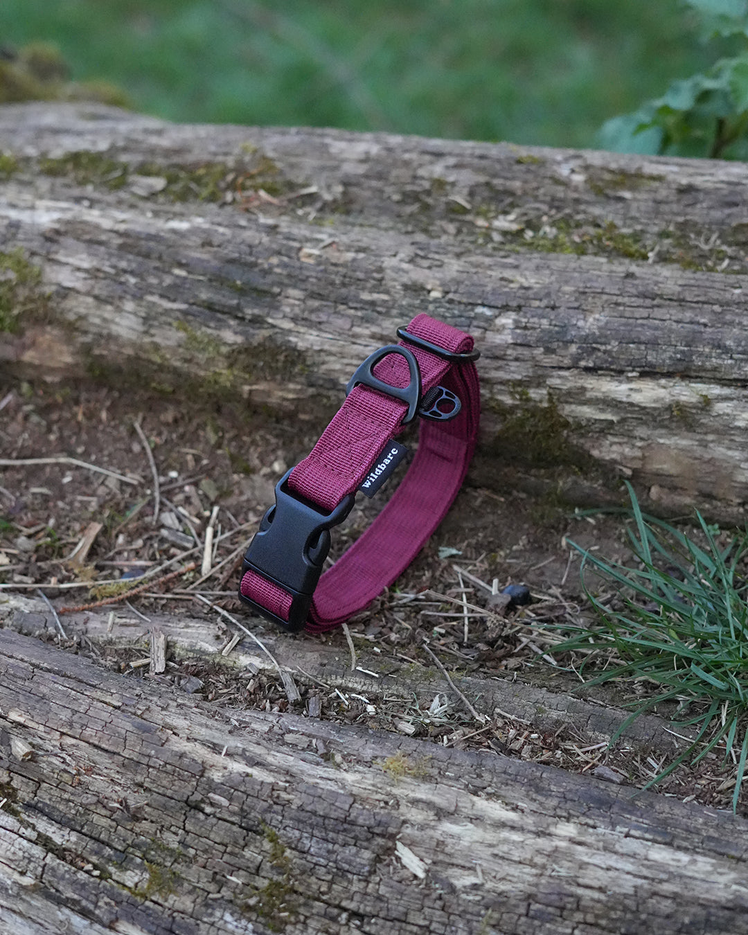 Burgundy Waterproof Dog Collar