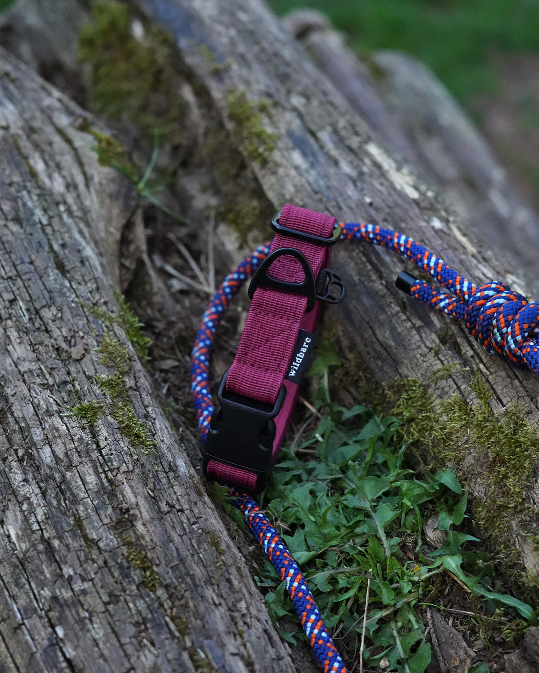 Burgundy Waterproof Dog Collar
