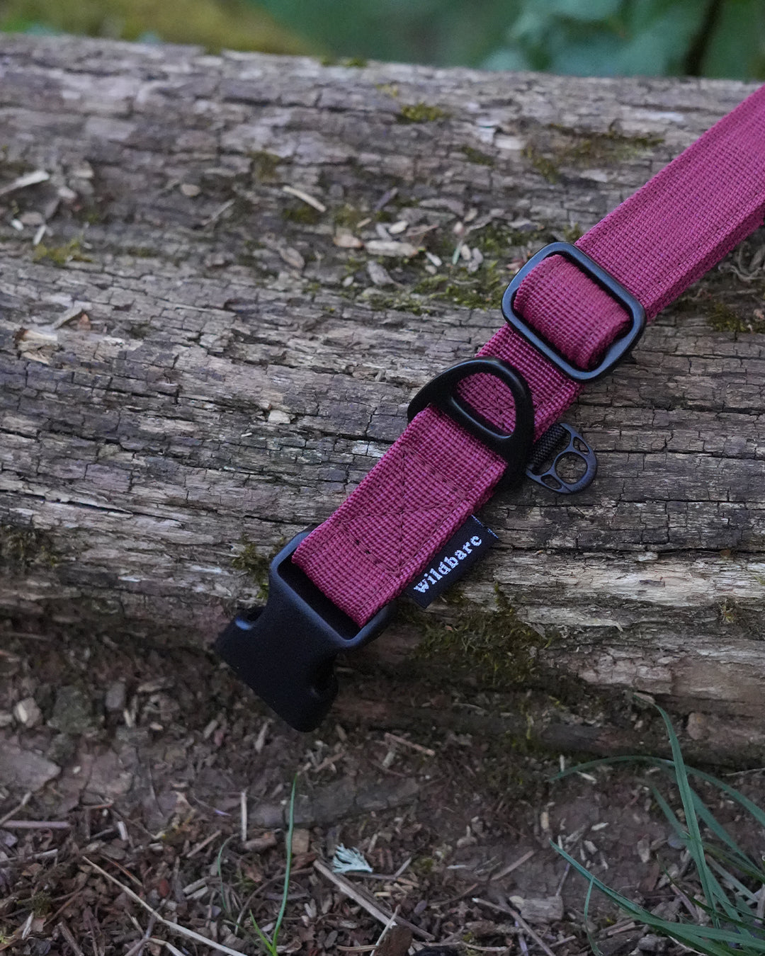 Burgundy Waterproof Dog Collar