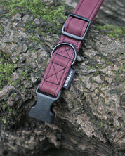 Burgundy Canvas Collar