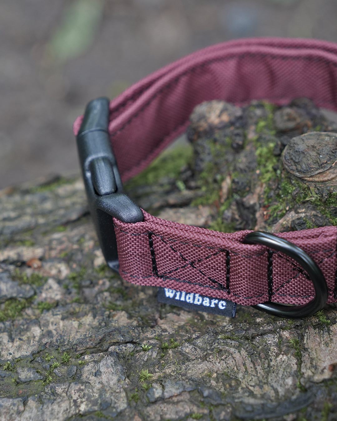 Burgundy Canvas Collar