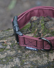 Burgundy Canvas Collar
