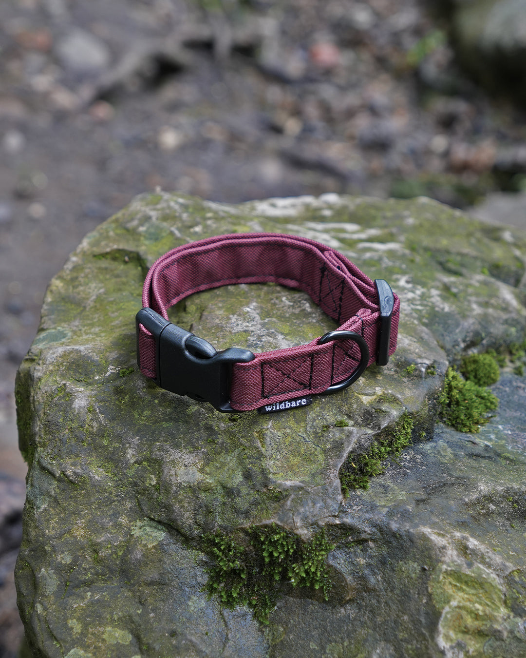 Burgundy Canvas Collar