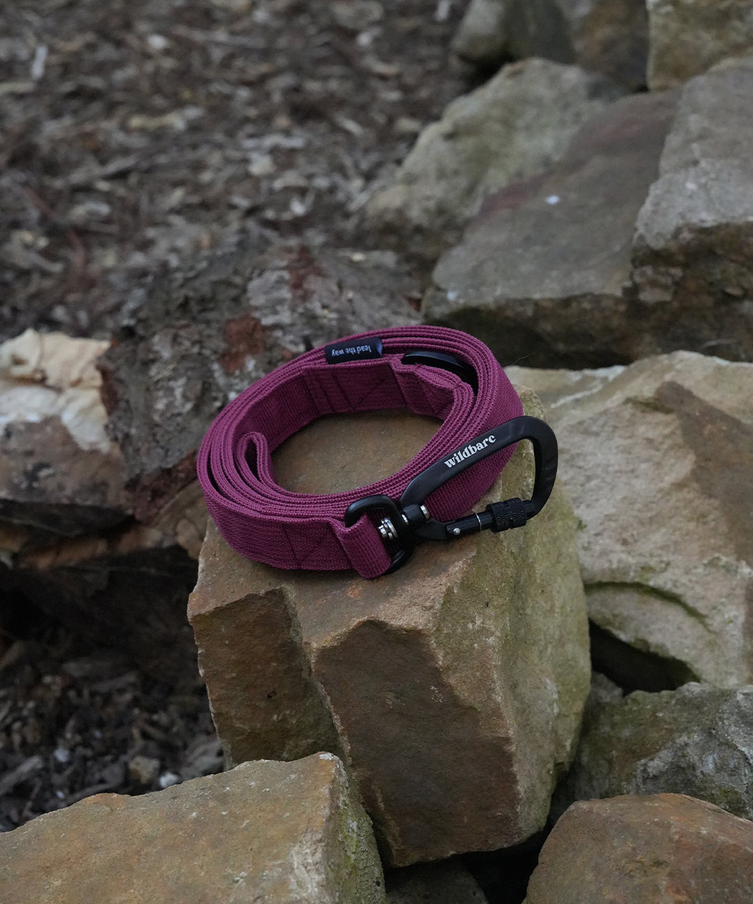 burgundy-dog-lead-four.jpg