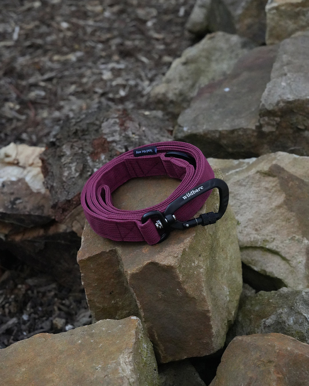 Burgundy Waterproof Dog Lead