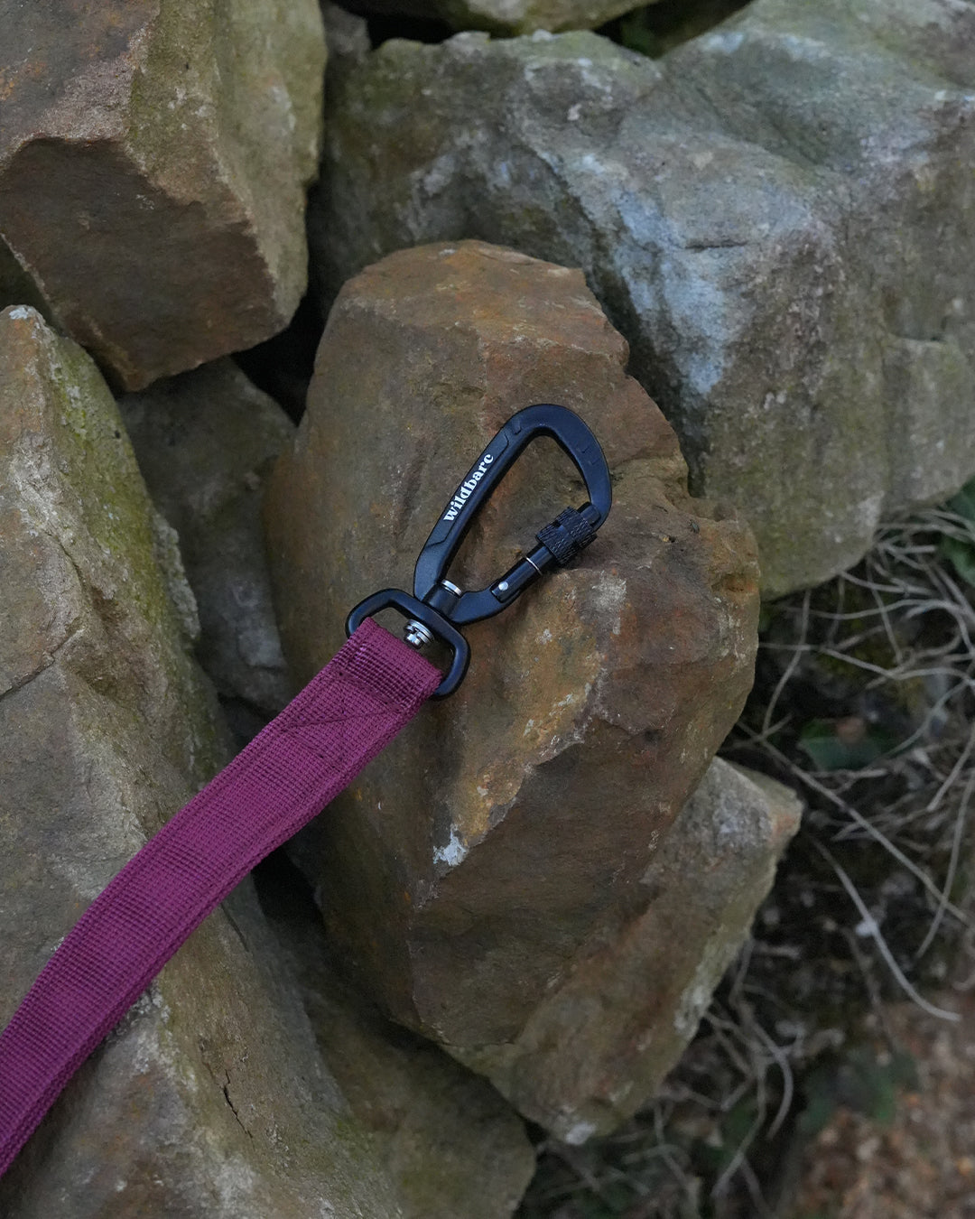 Burgundy Waterproof Dog Lead