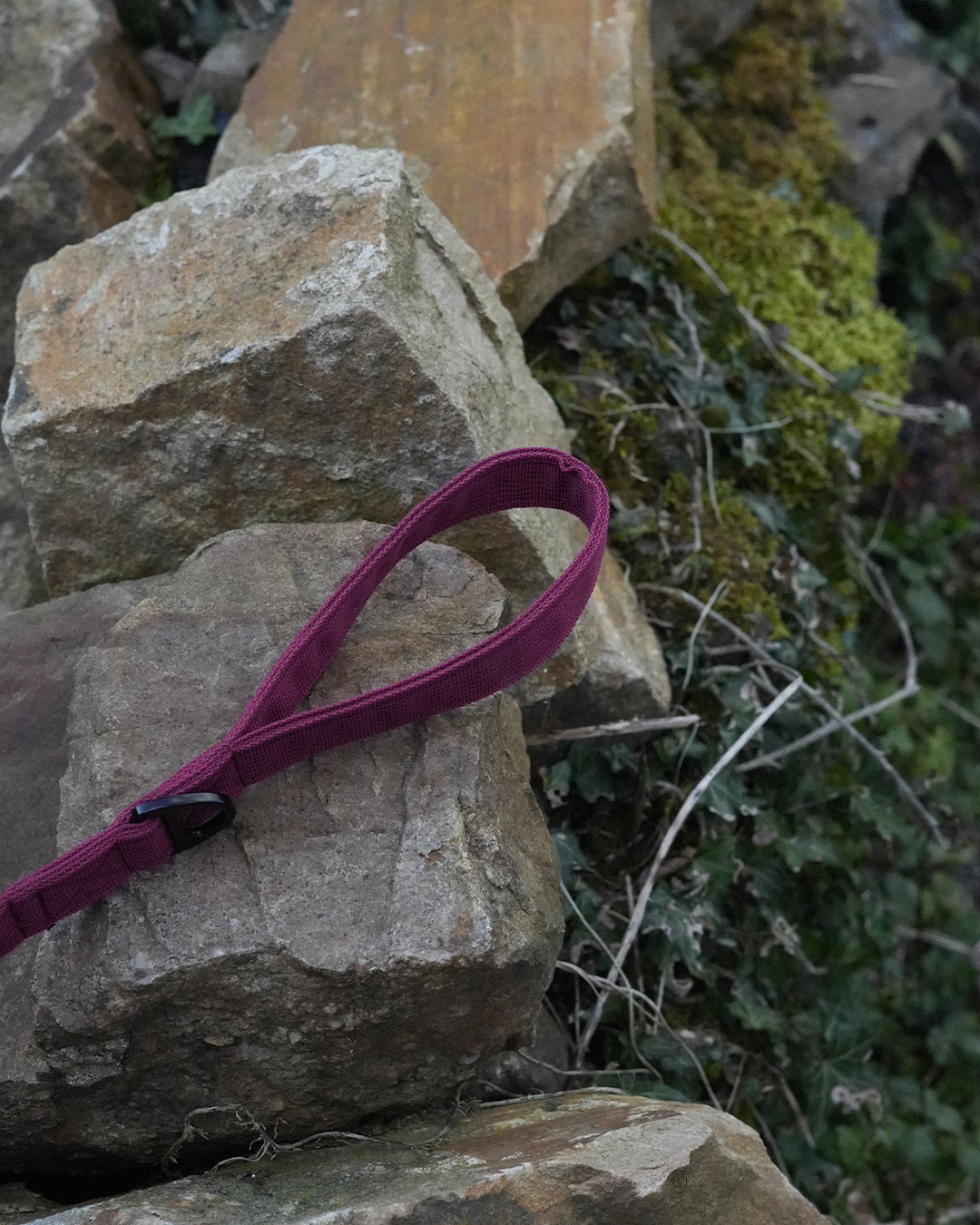 Burgundy Waterproof Dog Lead