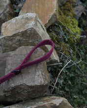 Burgundy Waterproof Dog Lead