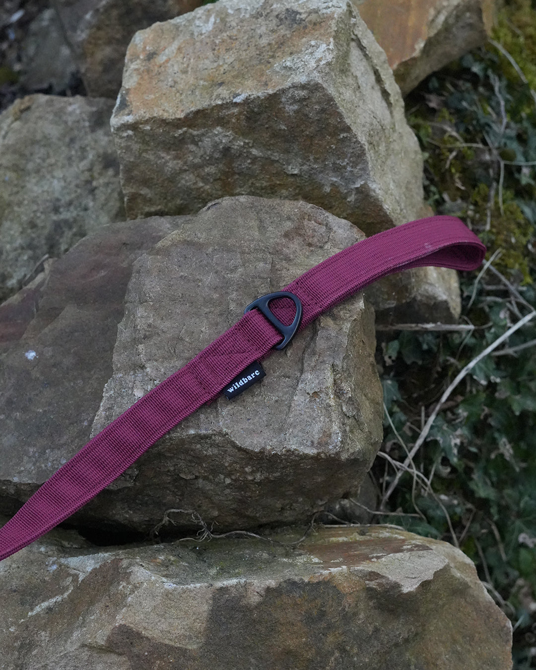 Burgundy Waterproof Dog Lead