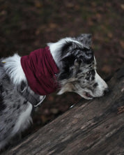 Burgundy Neck Snood