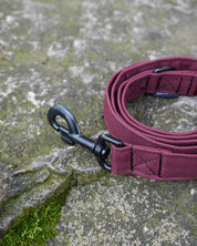Burgundy Canvas Lead