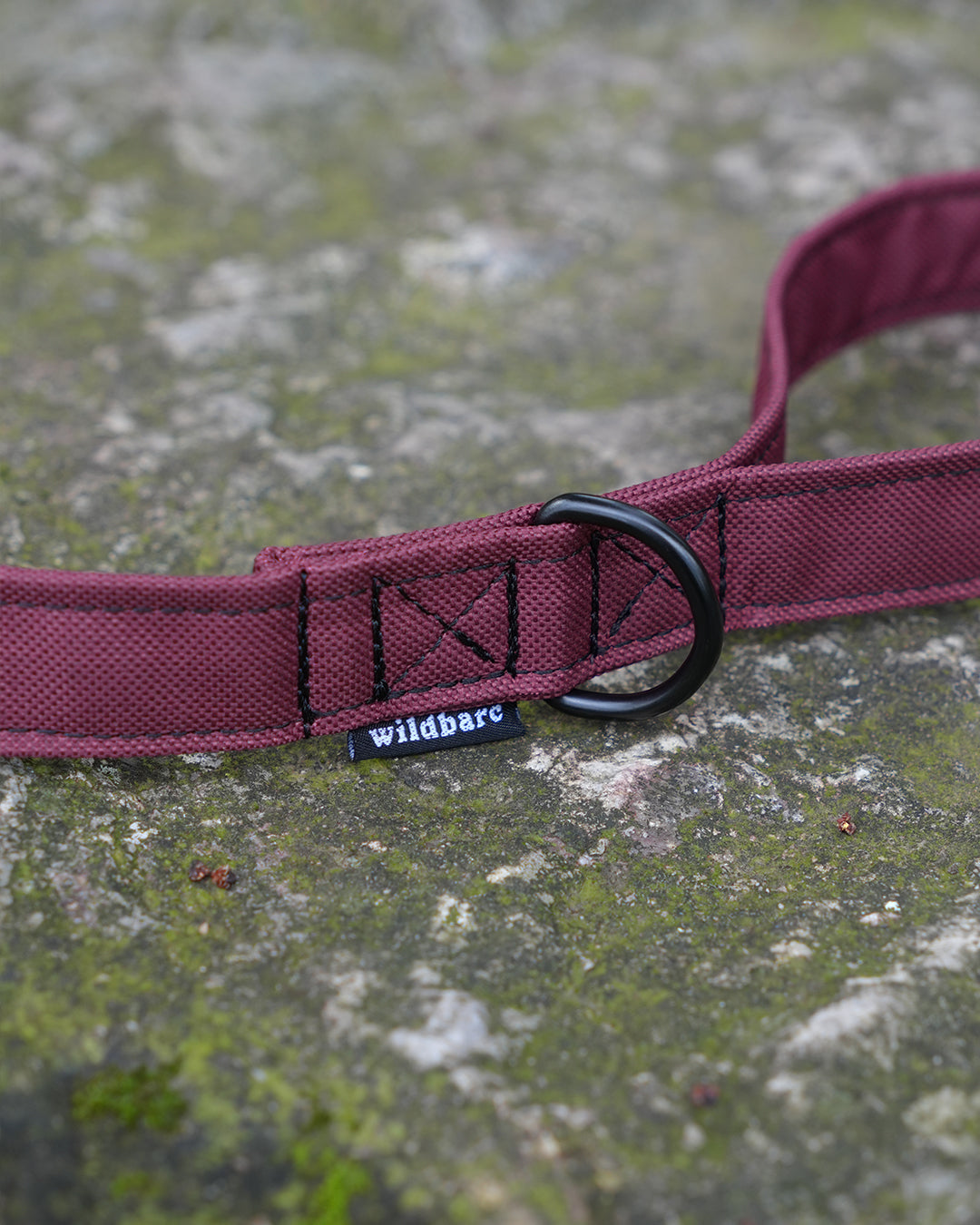 Burgundy Canvas Lead