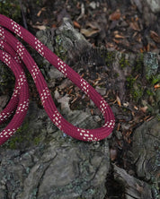 Skenfrith Climbing Rope Dog Lead