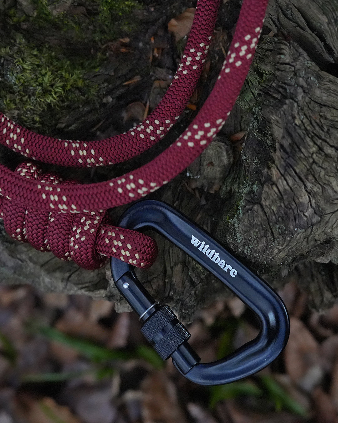 Skenfrith Climbing Rope Dog Lead