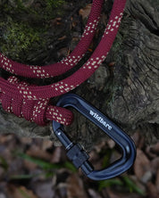Skenfrith Climbing Rope Dog Lead