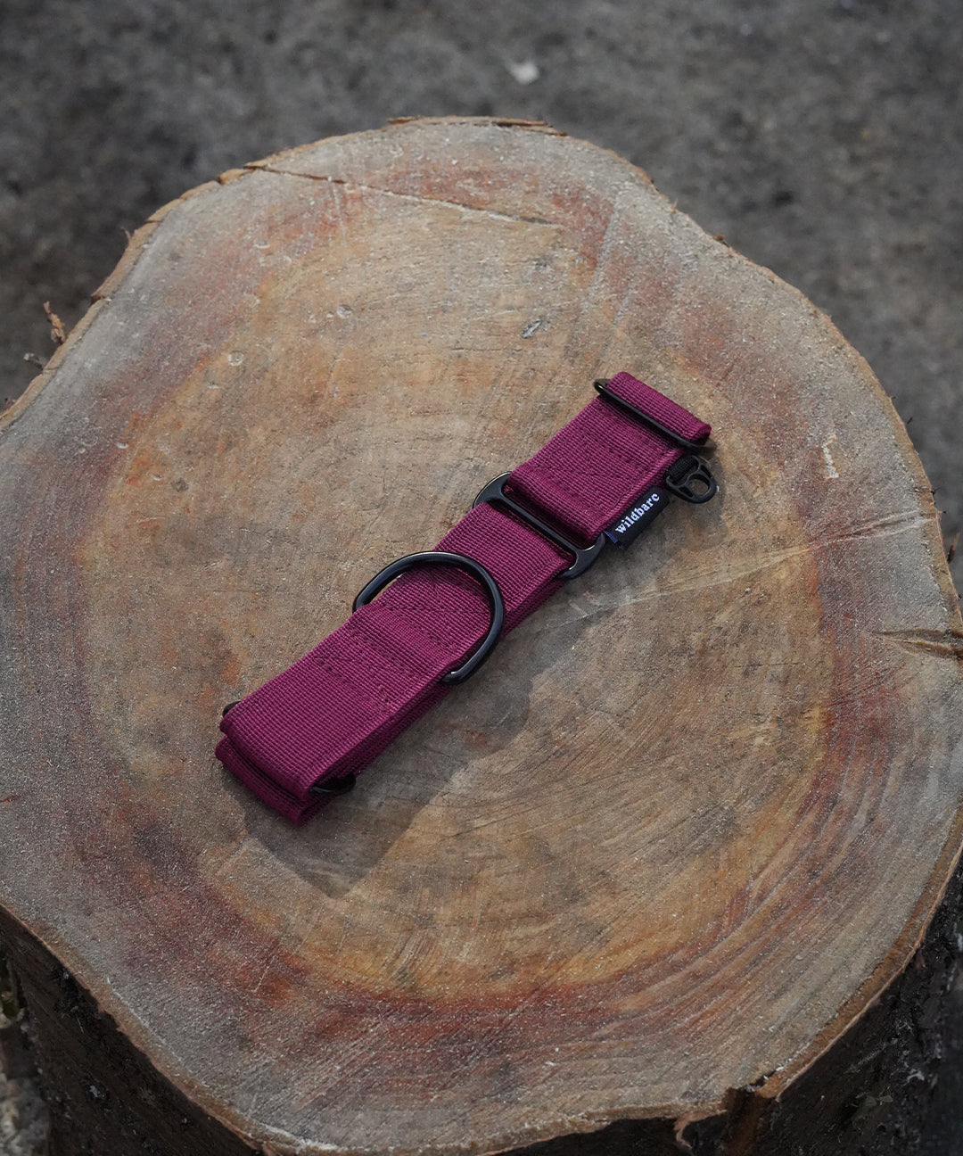 burgundy_one.jpg