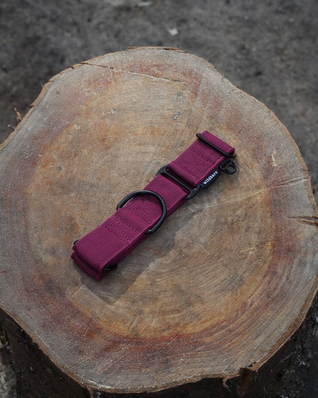 Burgundy Waterproof Martingale Dog Collar