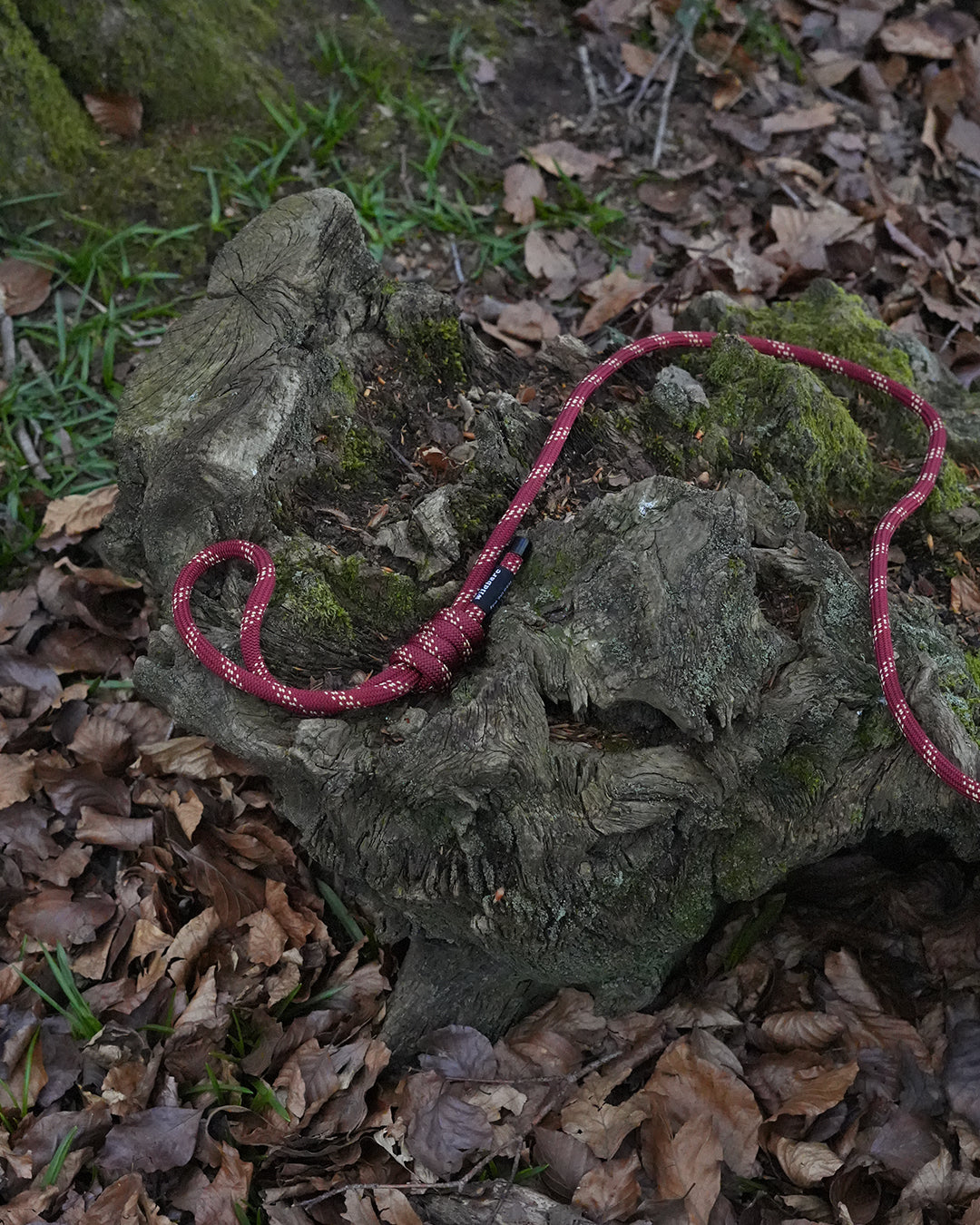 Skenfrith Climbing Rope Dog Lead