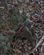 Skenfrith Climbing Rope Dog Lead