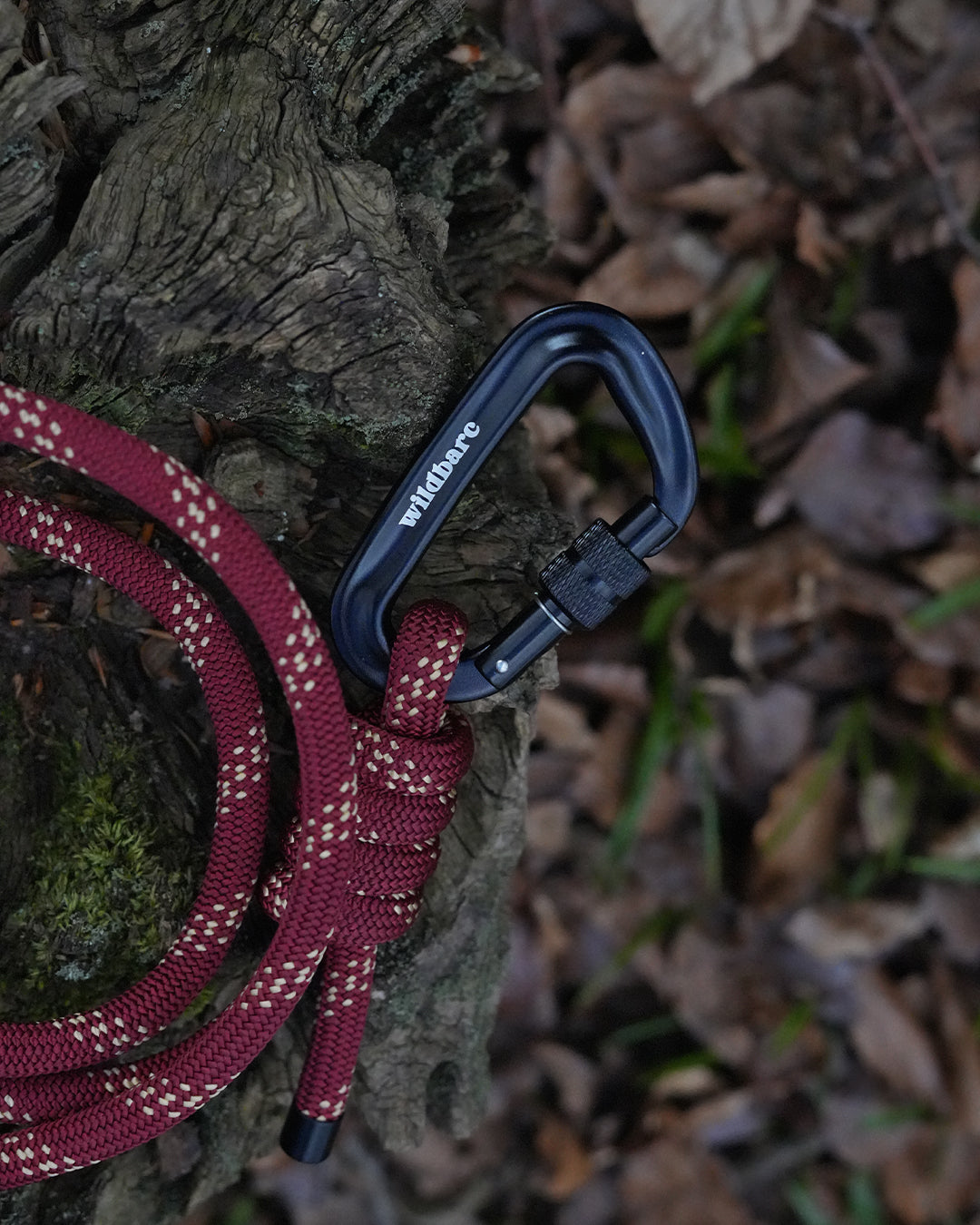 Skenfrith Climbing Rope Dog Lead