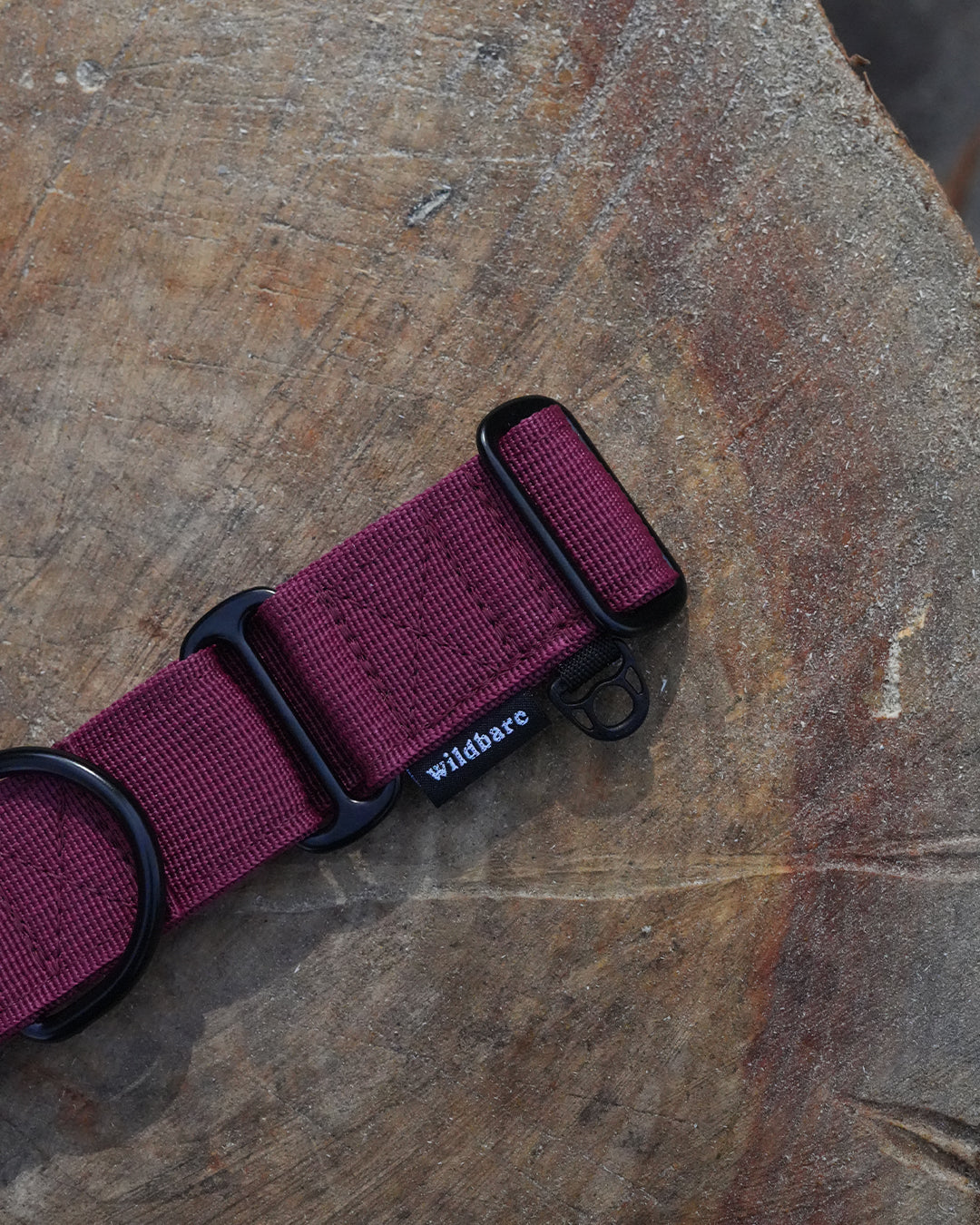 Burgundy Waterproof Martingale Dog Collar