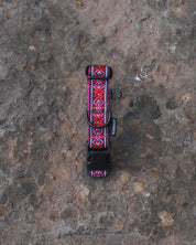 Carn Dearg Dog Buckle Collar