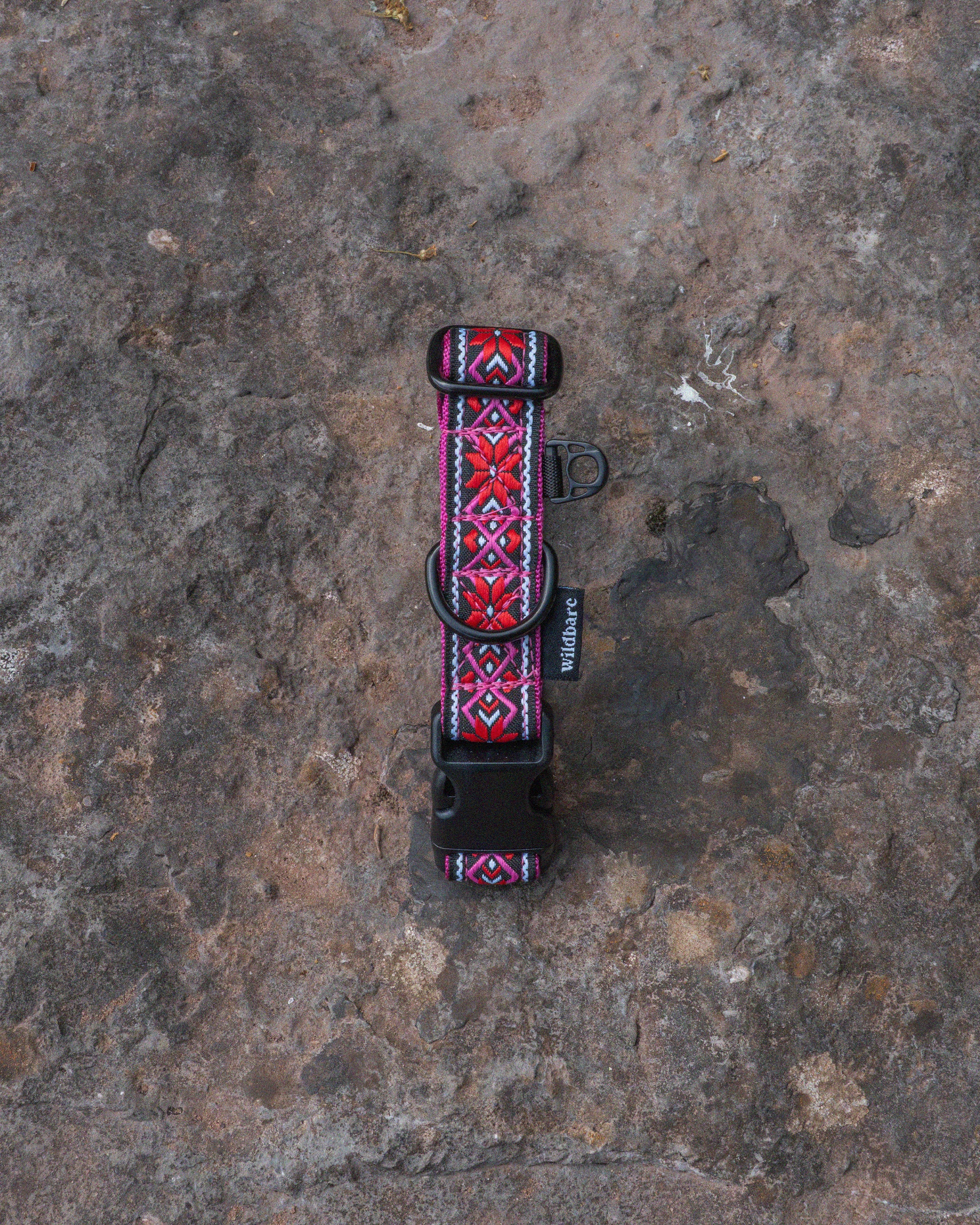 Carn Dearg Dog Buckle Collar