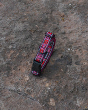 Carn Dearg Dog Buckle Collar