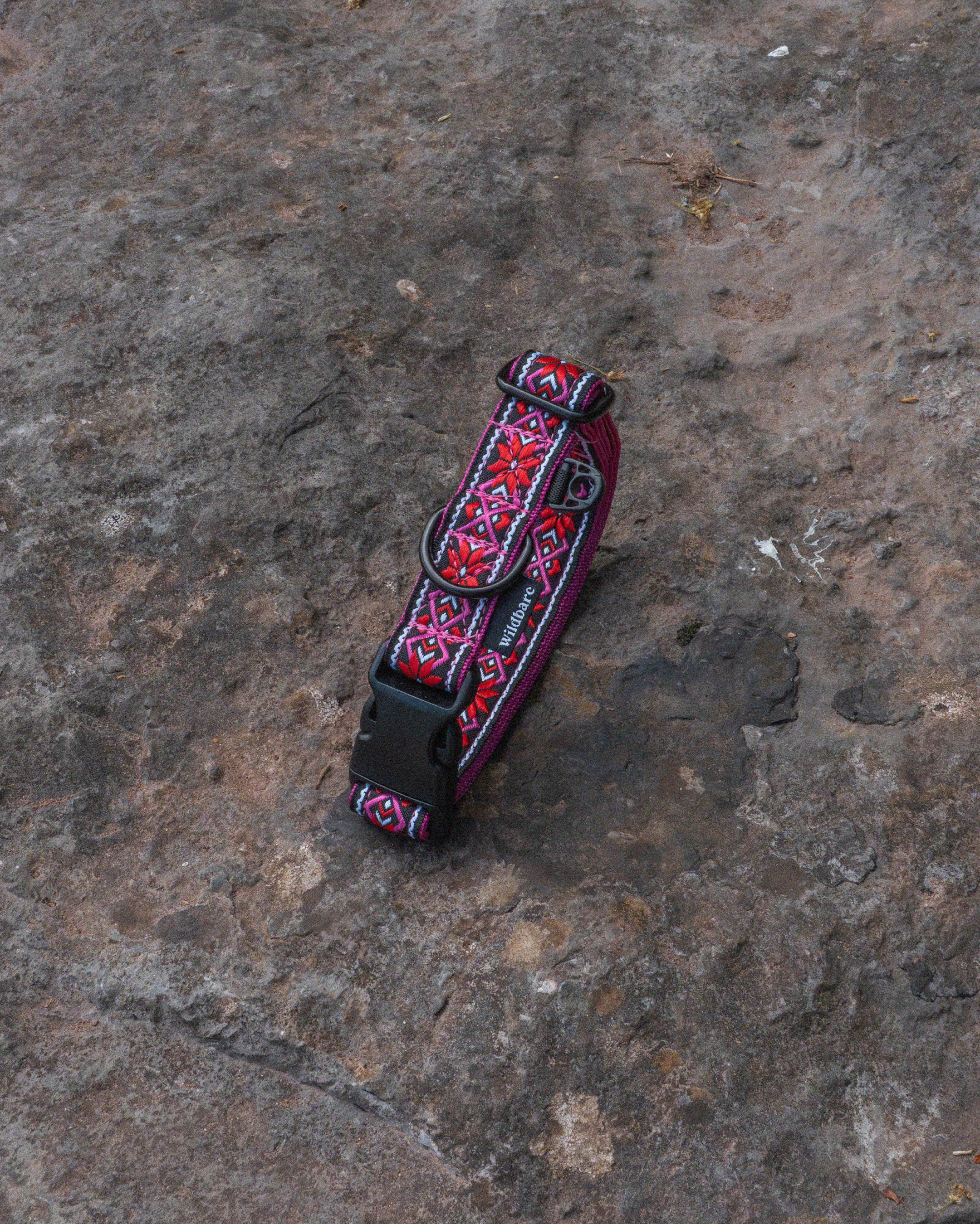 Carn Dearg Dog Buckle Collar